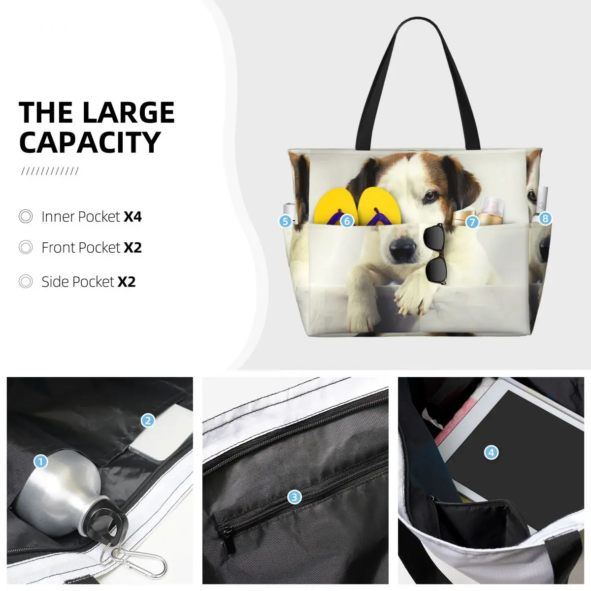 Dog Jack Russell Terrier Photo - Yoga Fitness Gym Photos review and price